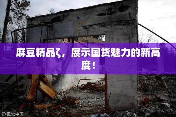 麻豆精品ζ，展示国货魅力的新高度！