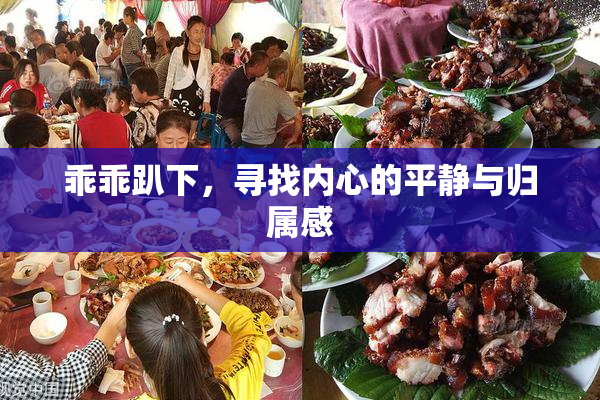 乖乖趴下，寻找内心的平静与归属感