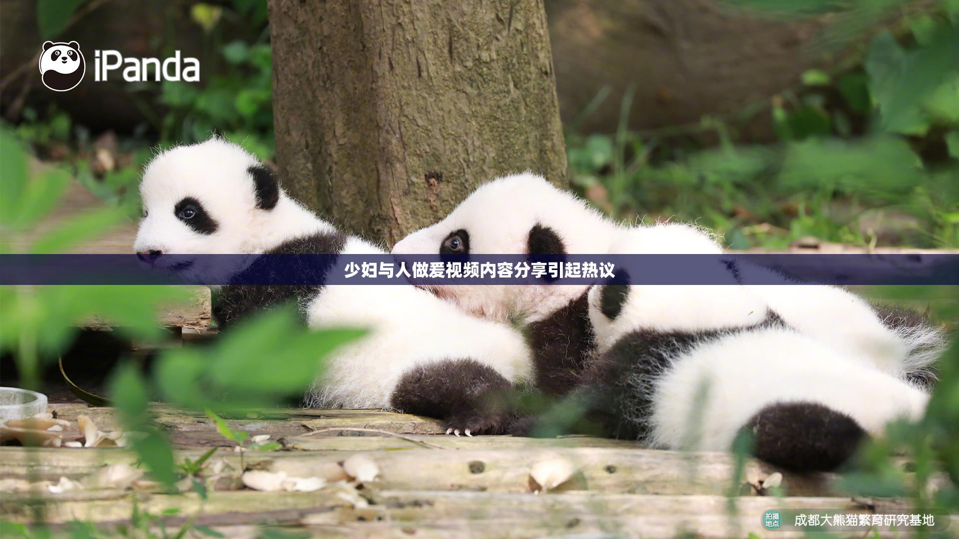 少妇与人做爰视频内容分享引起热议