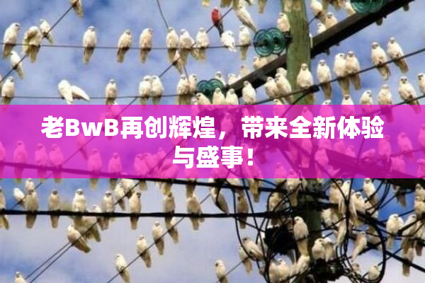老BwB再创辉煌，带来全新体验与盛事！