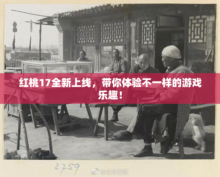红桃17全新上线，带你体验不一样的游戏乐趣！