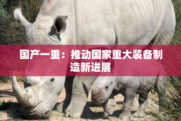 国产一重：推动国家重大装备制造新进展