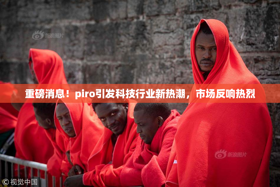 重磅消息！piro引发科技行业新热潮，市场反响热烈
