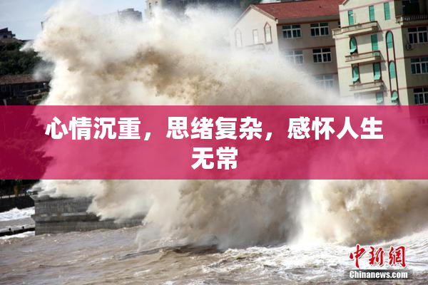 心情沉重，思绪复杂，感怀人生无常