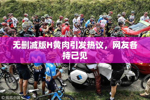 无删减版H黄肉引发热议，网友各持己见