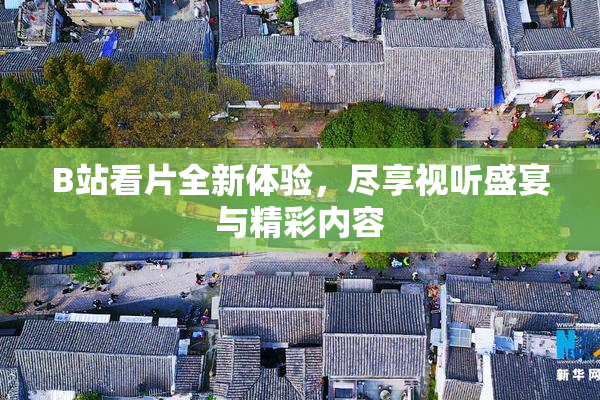 B站看片全新体验，尽享视听盛宴与精彩内容