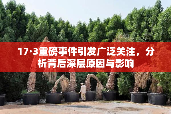 17·3重磅事件引发广泛关注，分析背后深层原因与影响