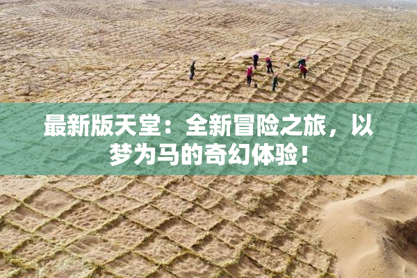 最新版天堂：全新冒险之旅，以梦为马的奇幻体验！