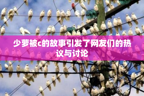 少萝被c的故事引发了网友们的热议与讨论