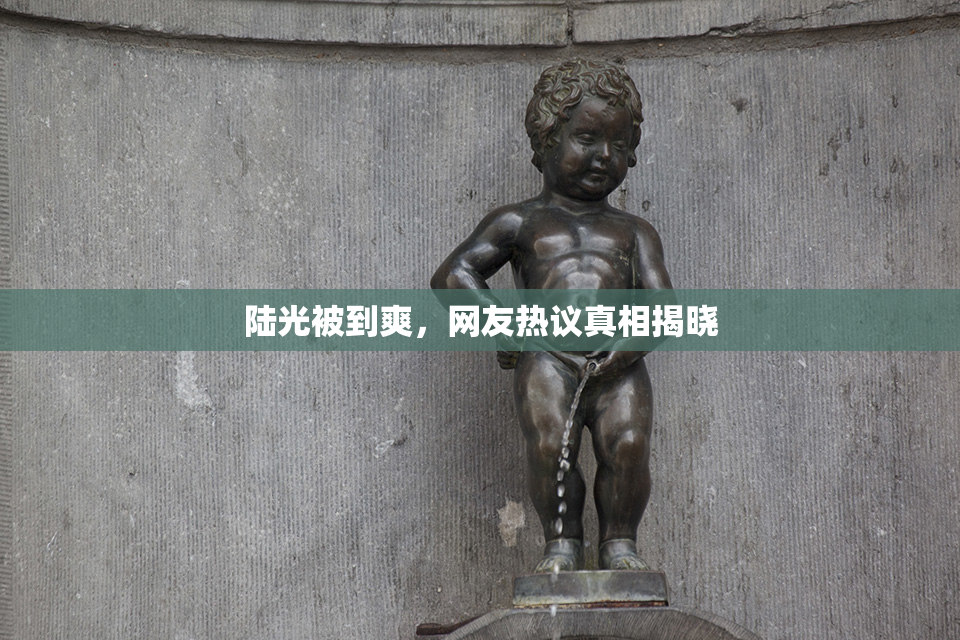 陆光被到爽，网友热议真相揭晓