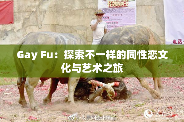 Gay Fu：探索不一样的同性恋文化与艺术之旅