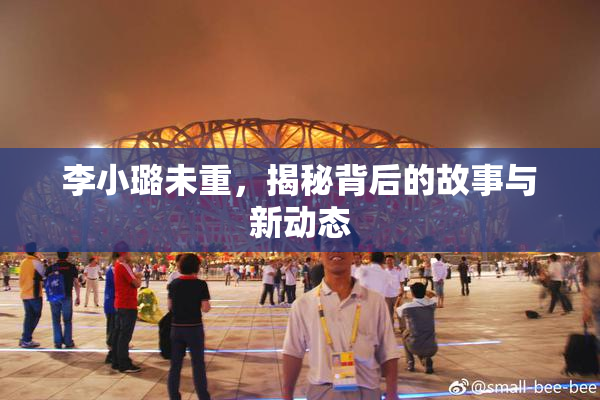 李小璐未重，揭秘背后的故事与新动态