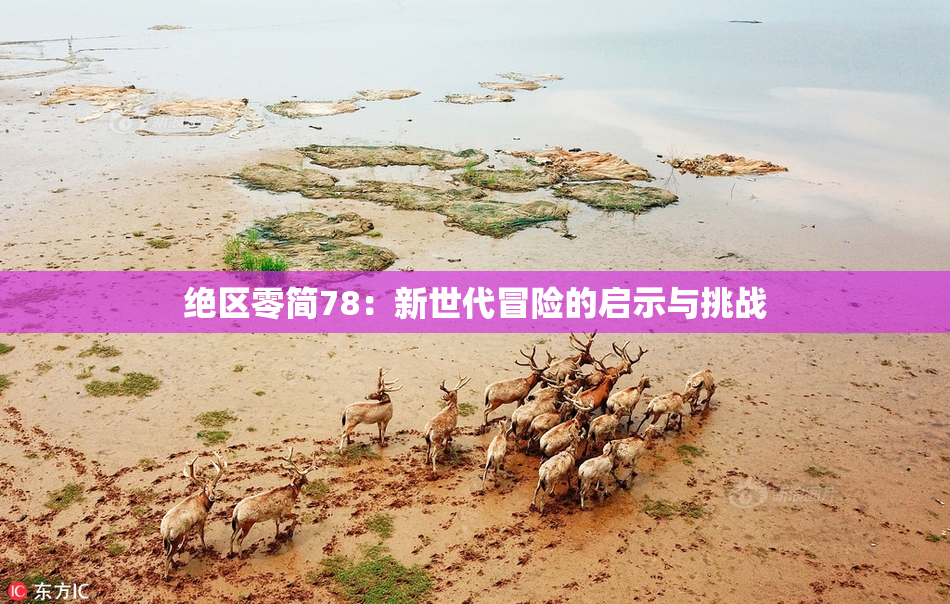 绝区零简78：新世代冒险的启示与挑战