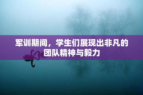 军训期间，学生们展现出非凡的团队精神与毅力
