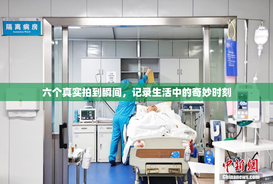 六个真实拍到瞬间，记录生活中的奇妙时刻