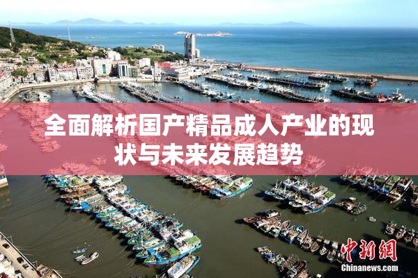 全面解析国产精品成人产业的现状与未来发展趋势