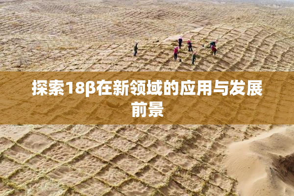 探索18β在新领域的应用与发展前景