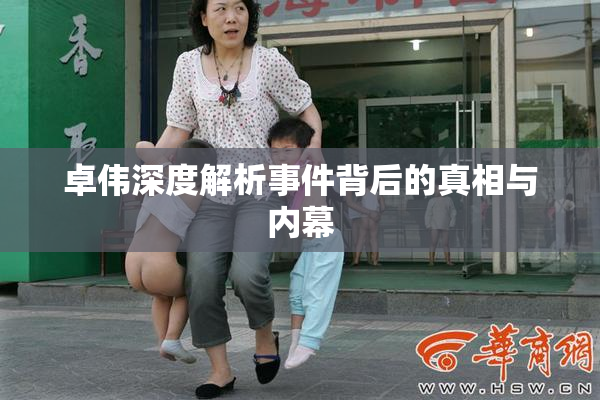 卓伟深度解析事件背后的真相与内幕