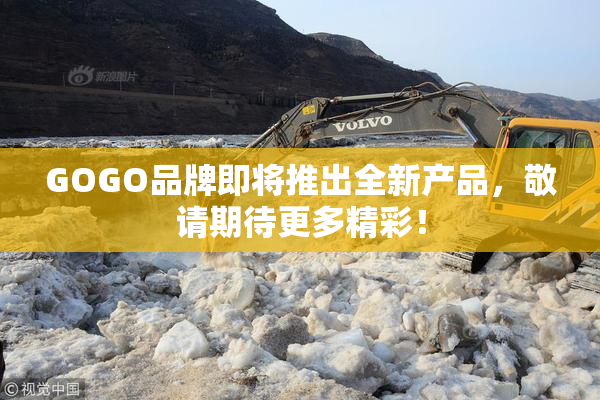 GOGO品牌即将推出全新产品，敬请期待更多精彩！