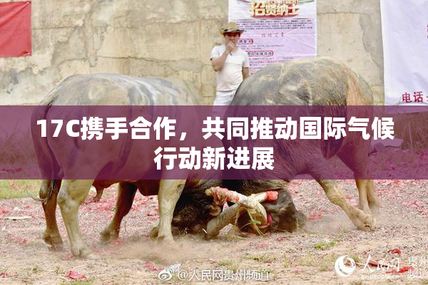 17C携手合作，共同推动国际气候行动新进展