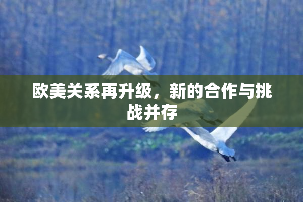 欧美关系再升级，新的合作与挑战并存