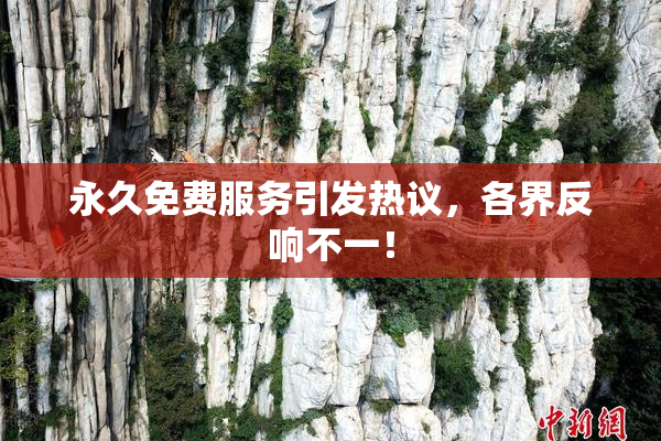 永久免费服务引发热议，各界反响不一！