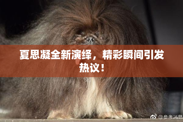 夏思凝全新演绎，精彩瞬间引发热议！