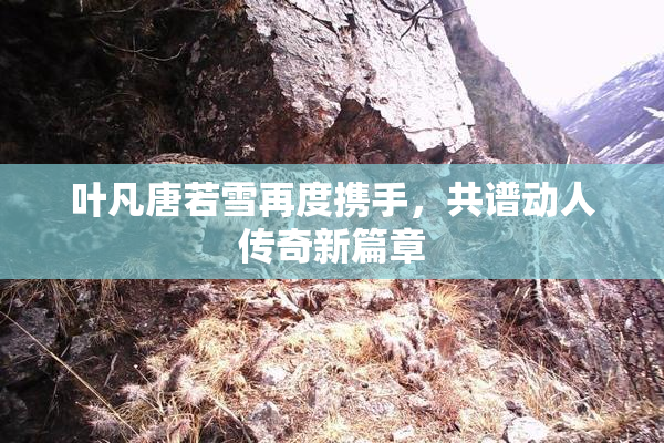 叶凡唐若雪再度携手，共谱动人传奇新篇章