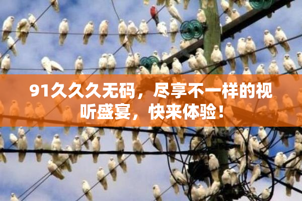 91久久久无码，尽享不一样的视听盛宴，快来体验！
