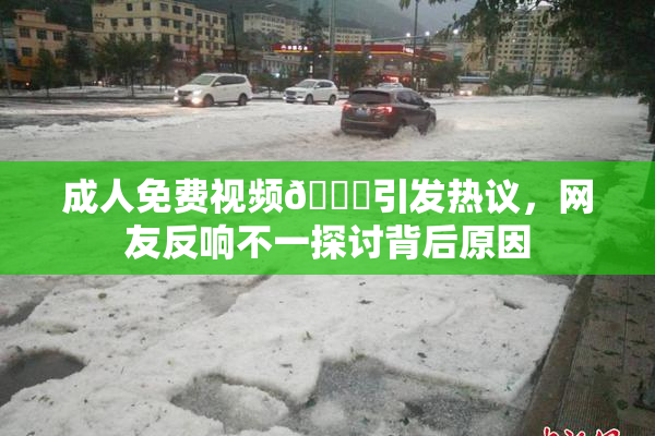 成人免费视频🔞引发热议，网友反响不一探讨背后原因