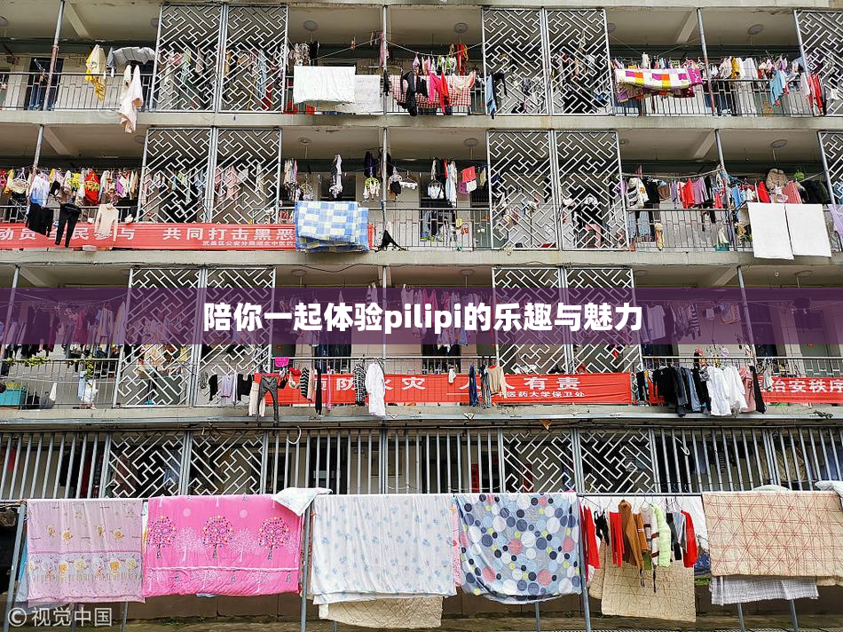 陪你一起体验pilipi的乐趣与魅力