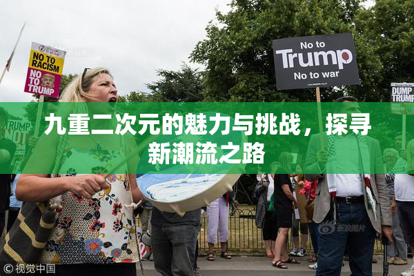 九重二次元的魅力与挑战，探寻新潮流之路