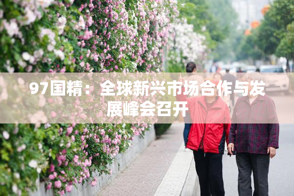 97国精：全球新兴市场合作与发展峰会召开