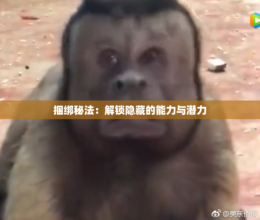 捆绑秘法：解锁隐藏的能力与潜力