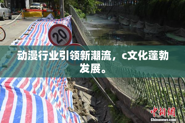动漫行业引领新潮流，c文化蓬勃发展。