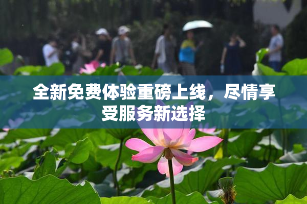 全新免费体验重磅上线，尽情享受服务新选择