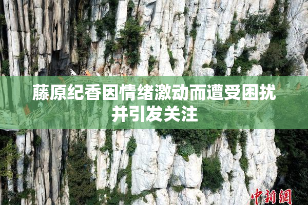 藤原纪香因情绪激动而遭受困扰并引发关注