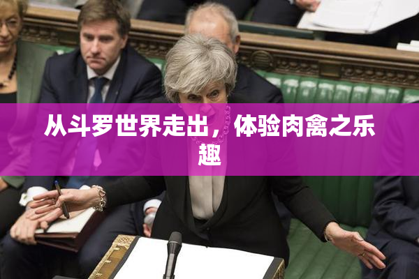 从斗罗世界走出，体验肉禽之乐趣