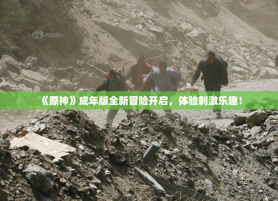《原神》成年版全新冒险开启，体验刺激乐趣！