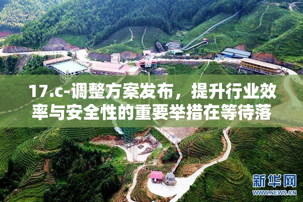17.c-调整方案发布，提升行业效率与安全性的重要举措在等待落实。
