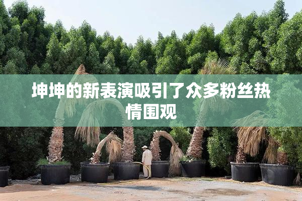 坤坤的新表演吸引了众多粉丝热情围观