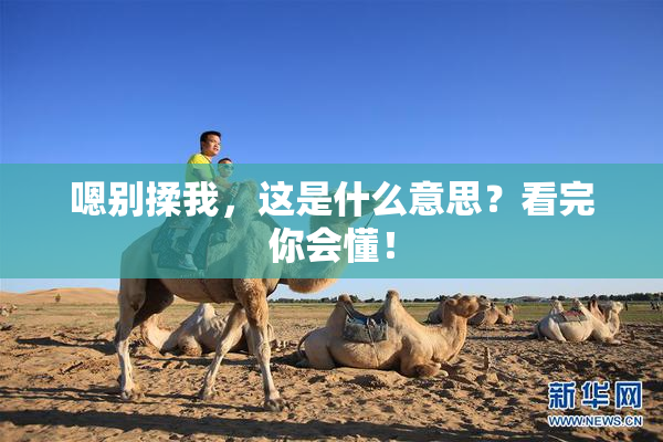 嗯别揉我，这是什么意思？看完你会懂！
