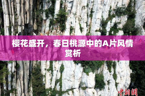 樱花盛开，春日桃源中的A片风情赏析