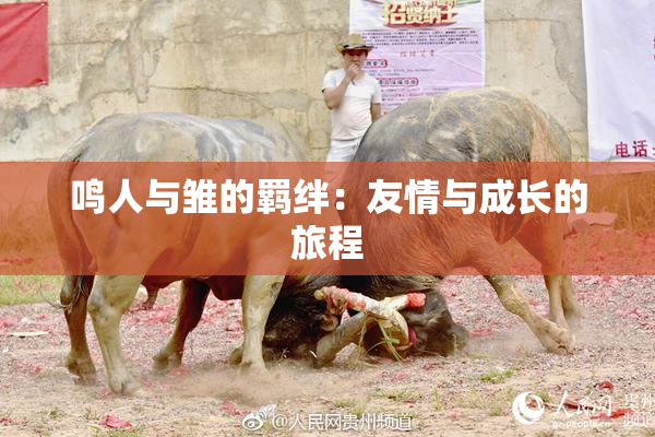 鸣人与雏的羁绊：友情与成长的旅程