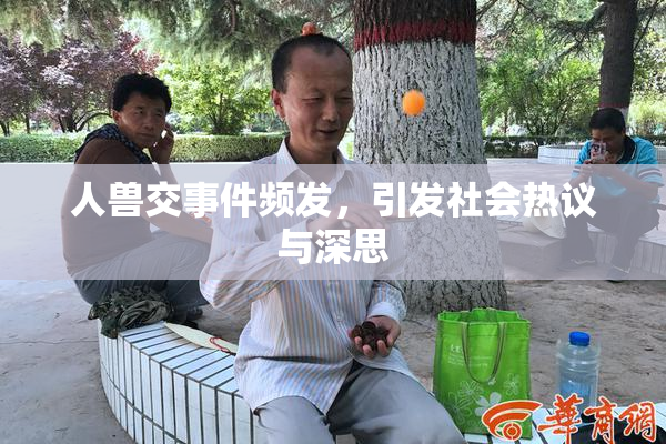 人兽交事件频发，引发社会热议与深思
