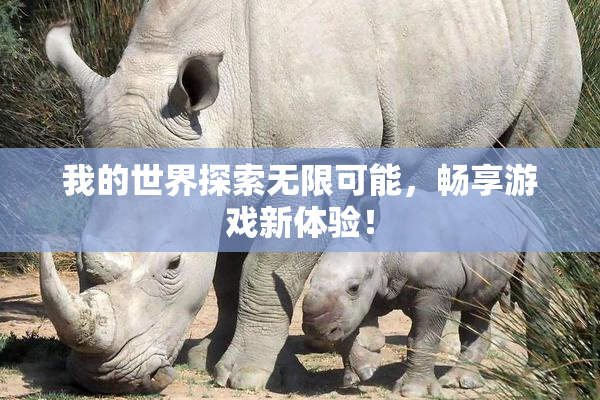 我的世界探索无限可能，畅享游戏新体验！