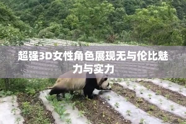 超强3D女性角色展现无与伦比魅力与实力