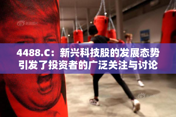 4488.C：新兴科技股的发展态势引发了投资者的广泛关注与讨论。