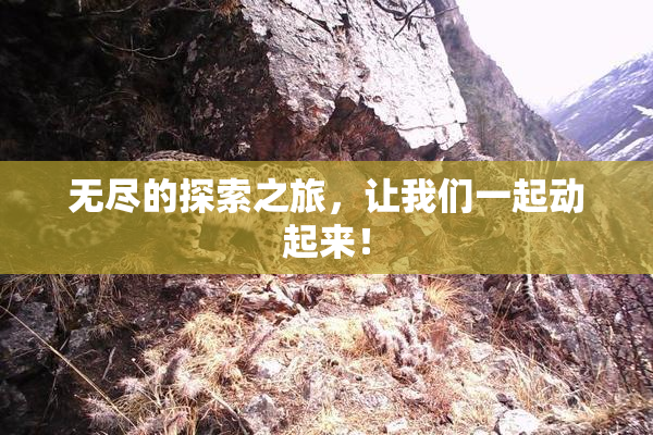 无尽的探索之旅，让我们一起动起来！