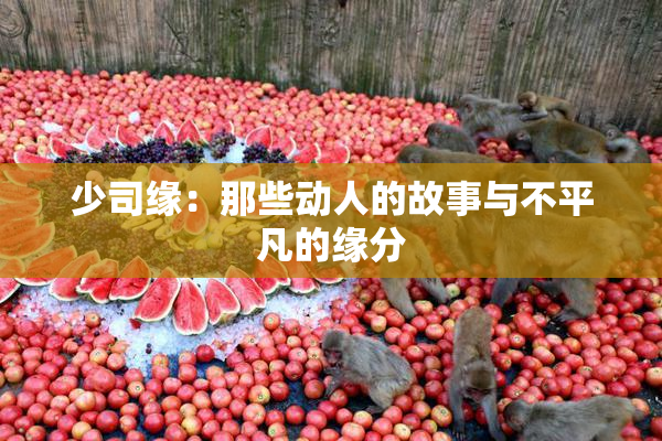 少司缘：那些动人的故事与不平凡的缘分